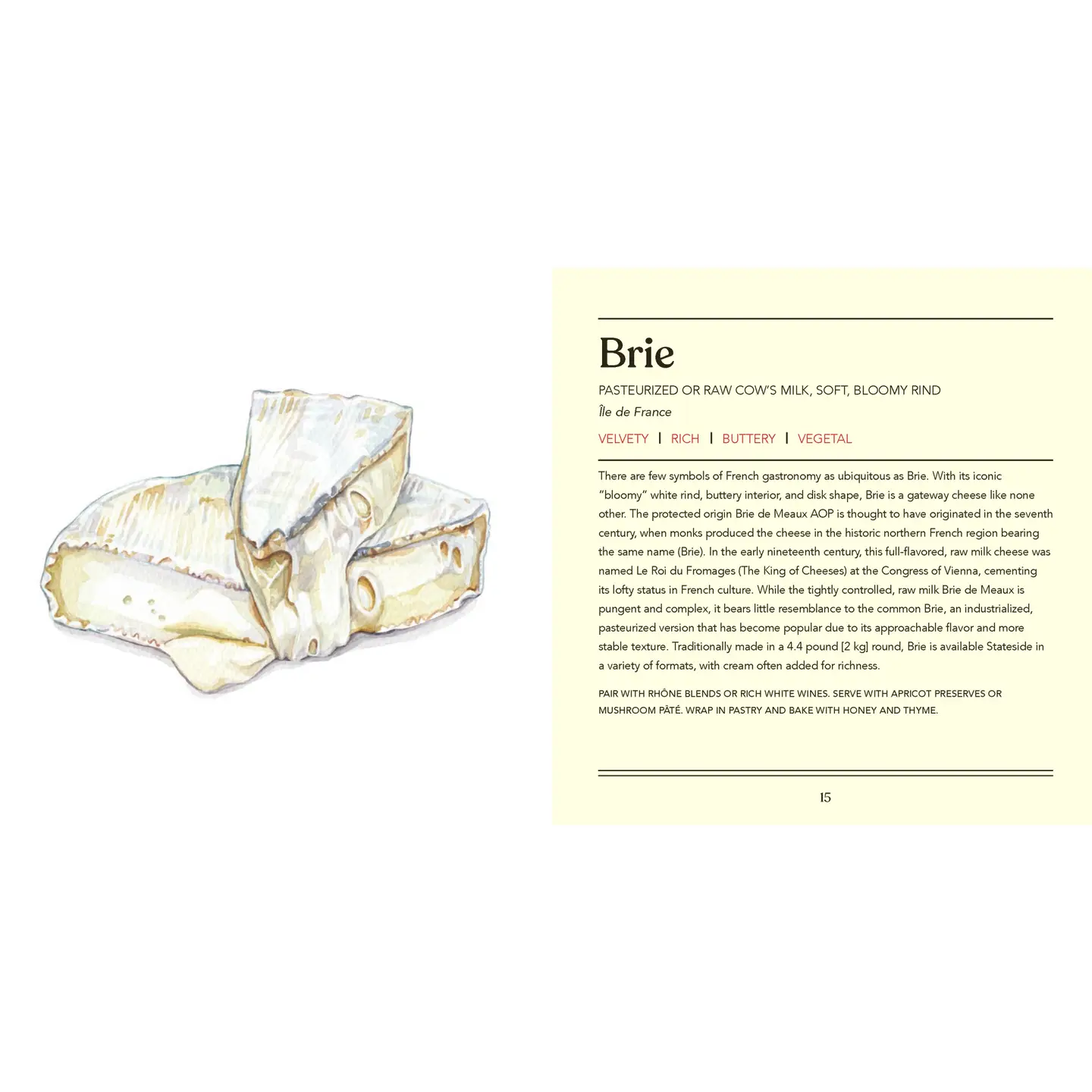 Cheese, Illustrated - Image 2