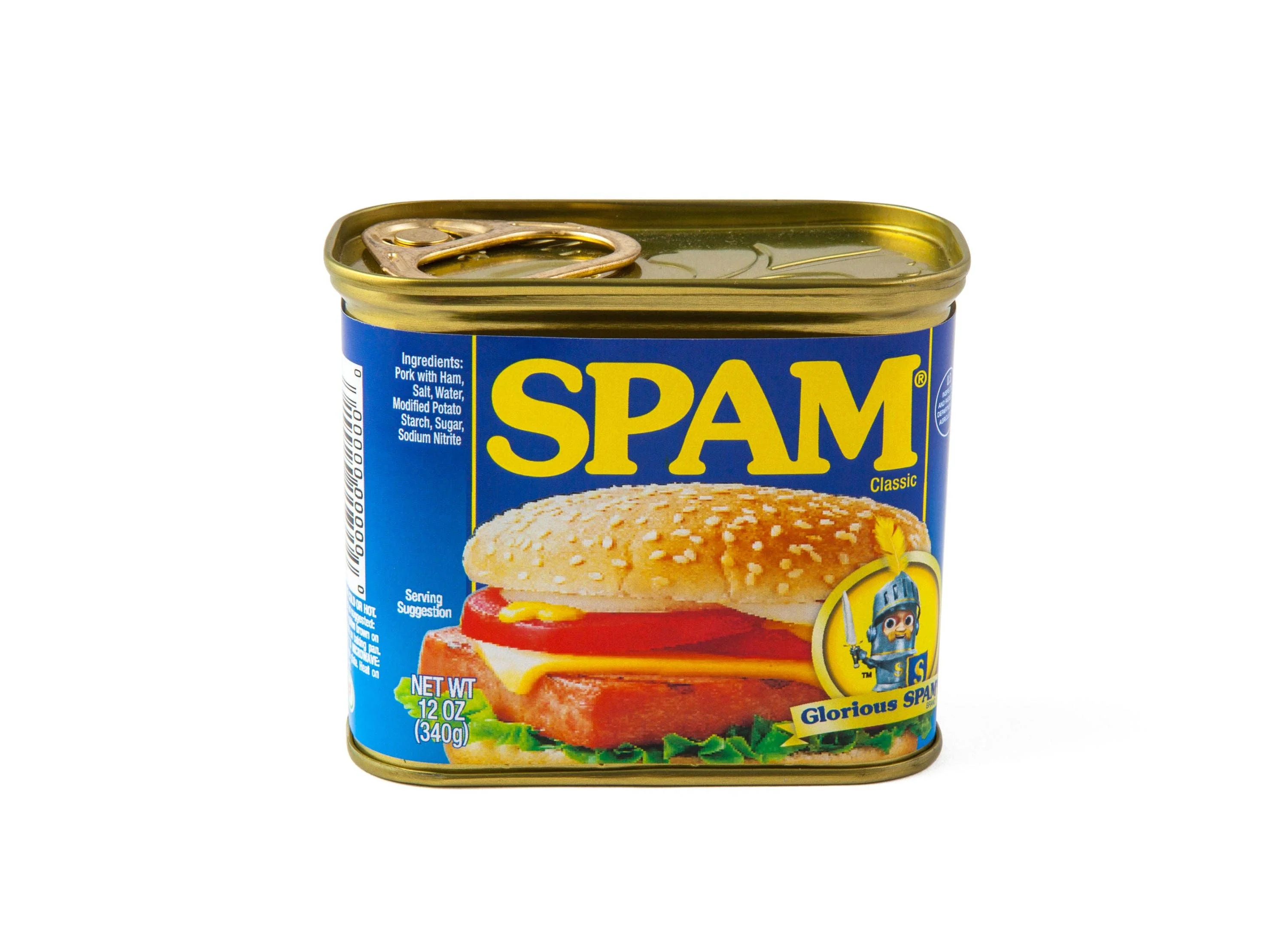 Diversion Spam Can Safe - Image 2