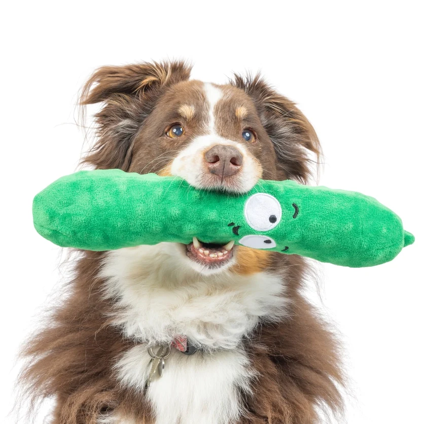 Fetchies Pickle Dog Toy - Large - Image 3