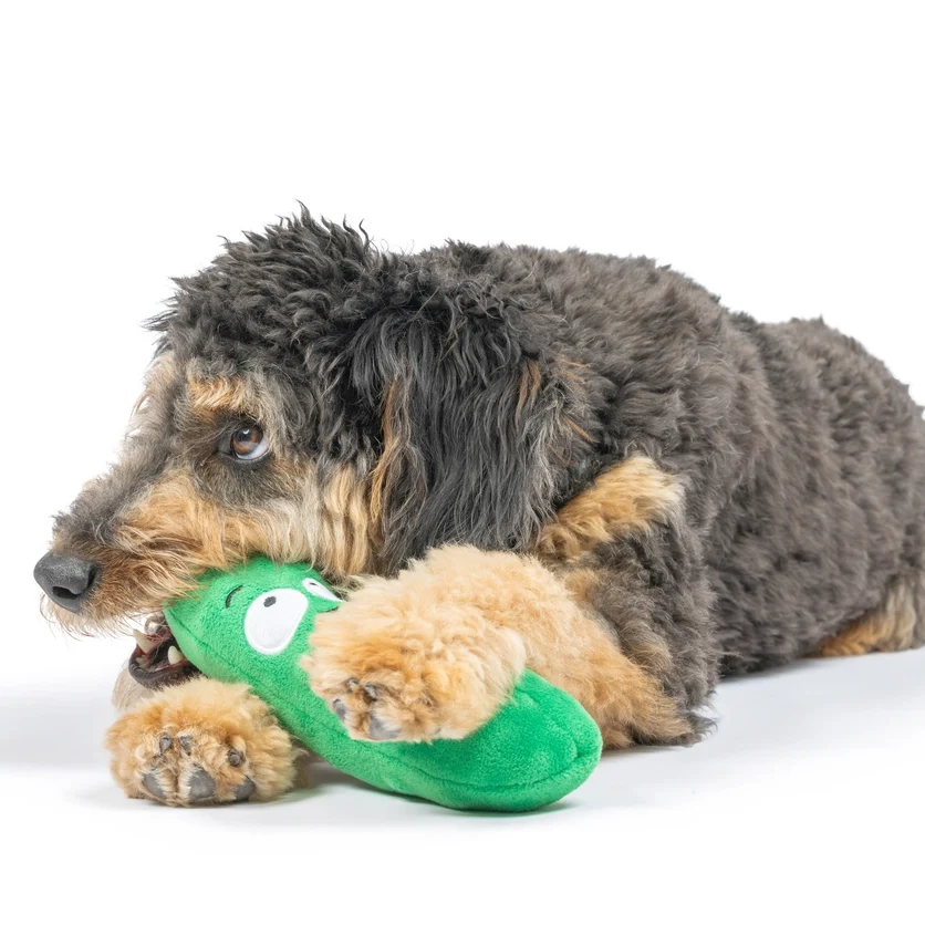 Fetchies Pickle Dog Toy - Large - Image 4