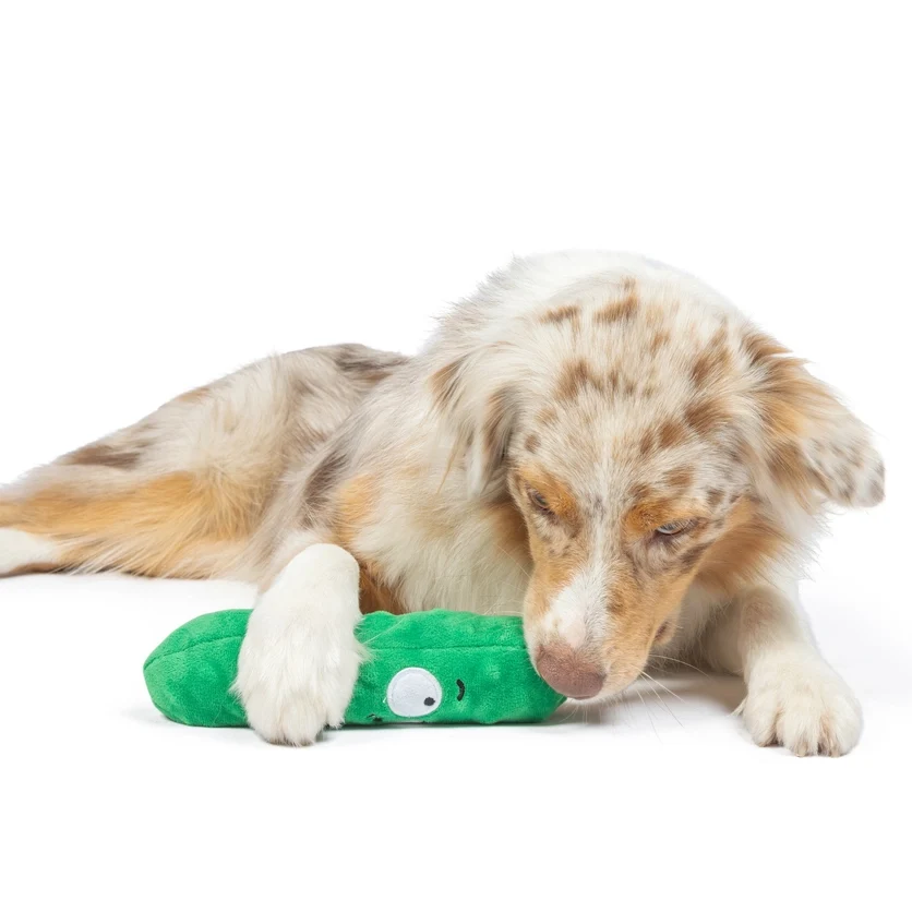 Fetchies Pickle Dog Toy - Large - Image 5