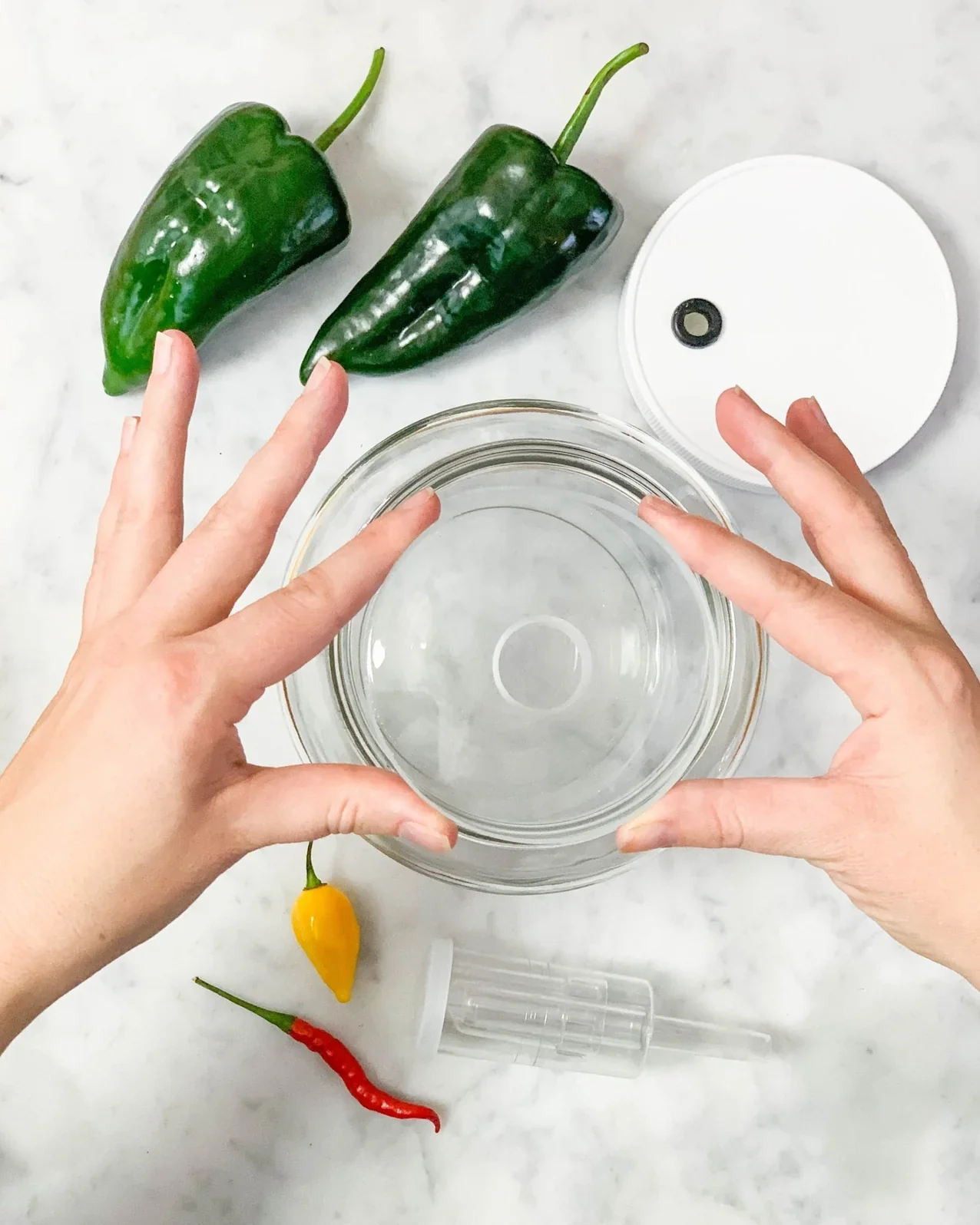 Fermented Hot Sauce Kit - Image 3