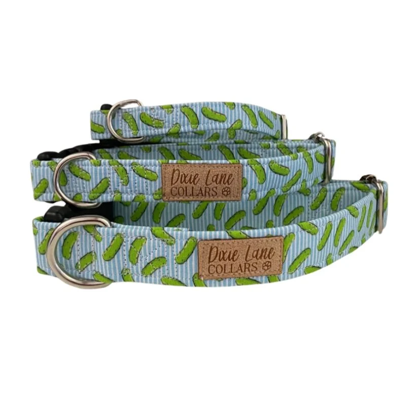 Pickles on Light Blue Dog Collar