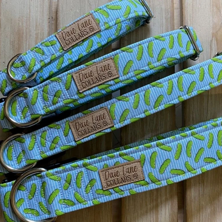 Pickles on Light Blue Dog Collar - Image 2