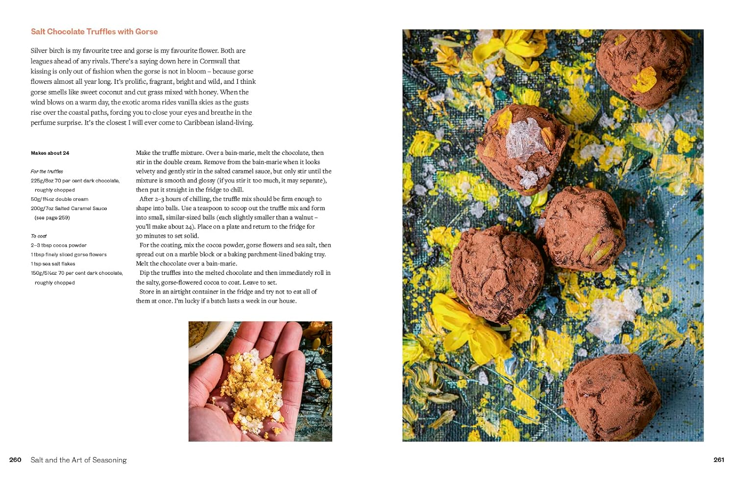 Salt And The Art Of Seasoning Book - Image 6