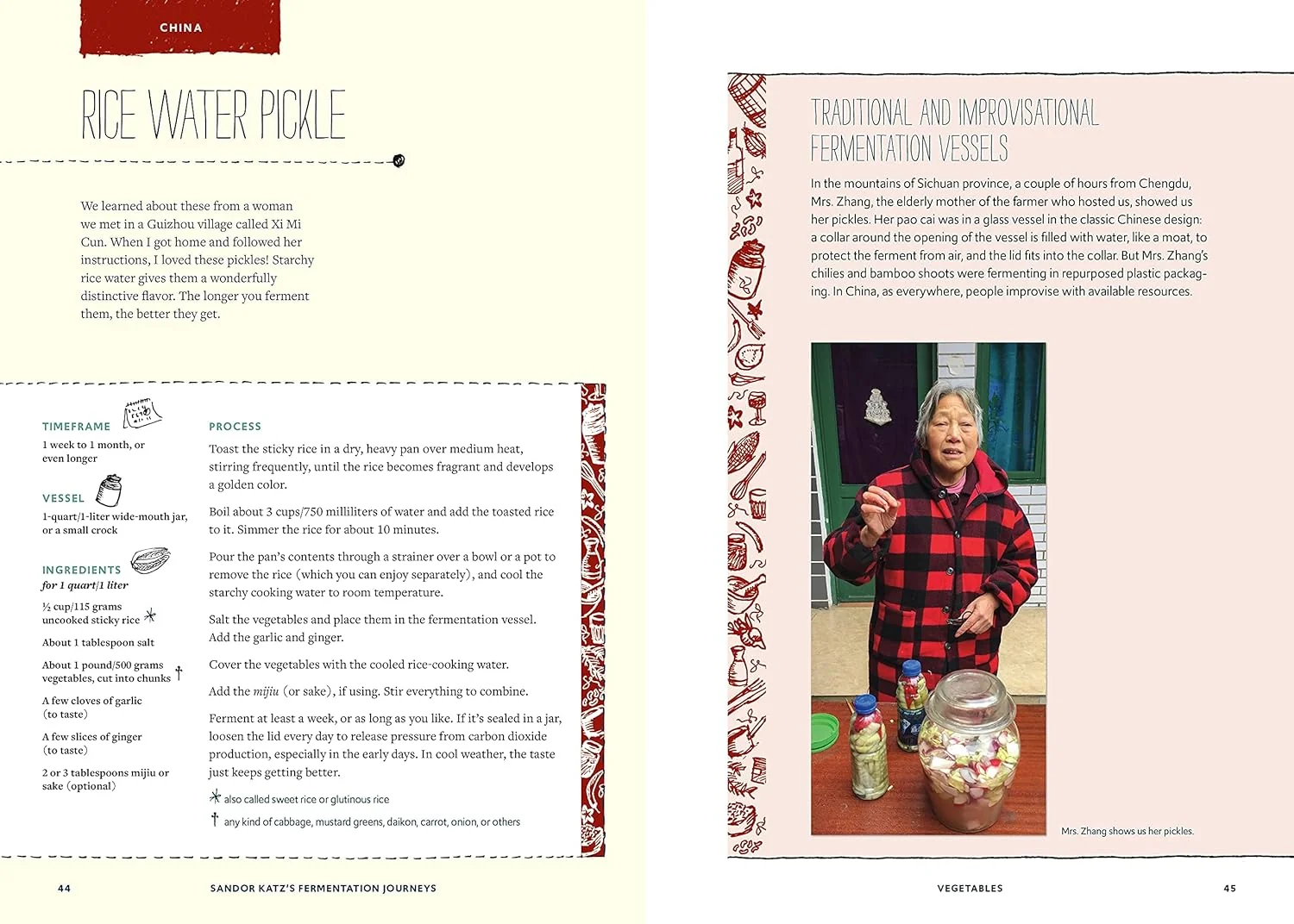 Sandor Katz's Fermentation Journeys Book - Image 4