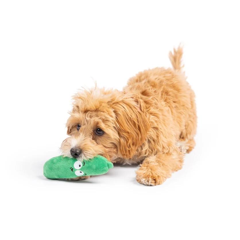 Tiny Tuff Pickle Dog Toy - Image 2