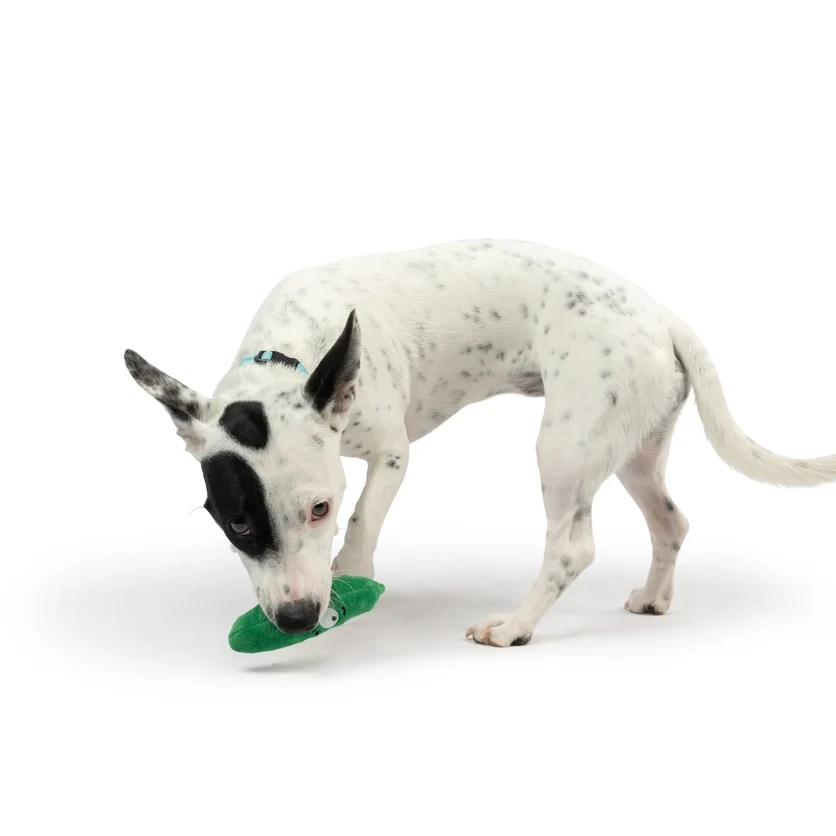 Tiny Tuff Pickle Dog Toy - Image 3