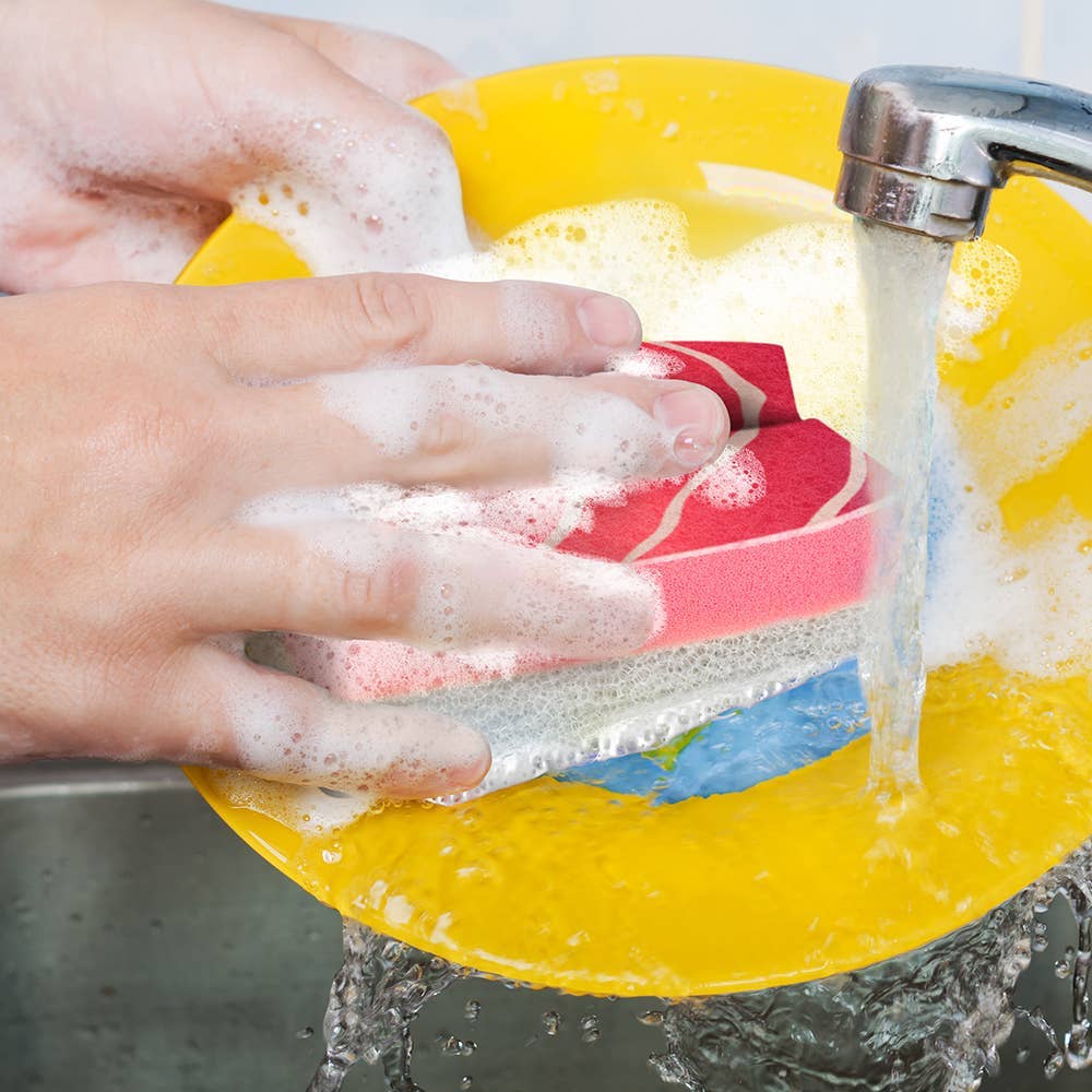 Washabi Sponges - Image 3